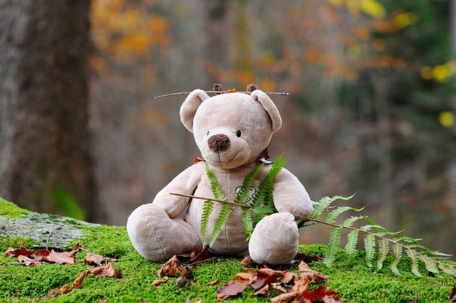 teddy-bear-524251_640